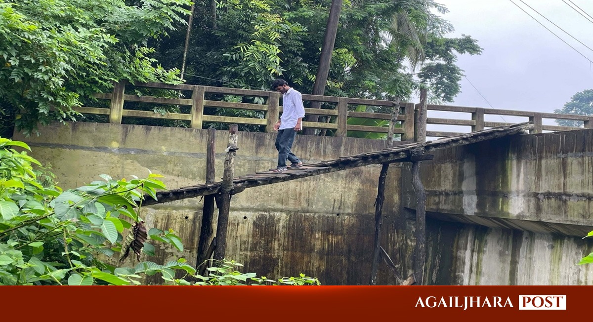 উজিরপুরে প্রায় ৭ কোটি টাকার সেতুতে উঠতে হয় মই দিয়ে